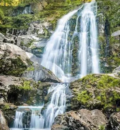 Sobre La 12 Lägenhet