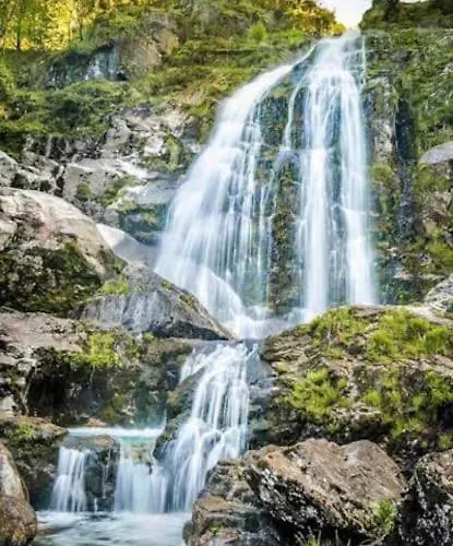 Sobre La 12 Apartmán